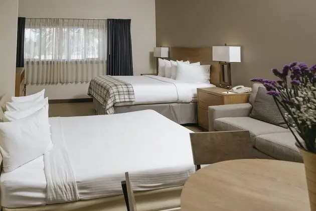 Daire (Studio Condominium)