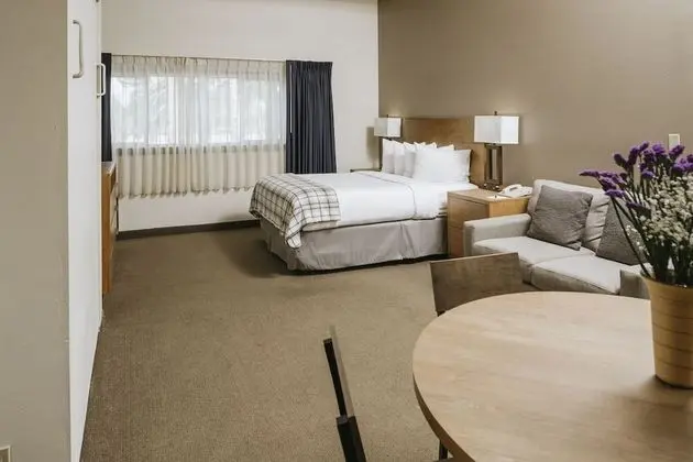 Daire (Studio Condominium)