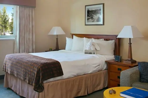 Daire (Studio Condominium)