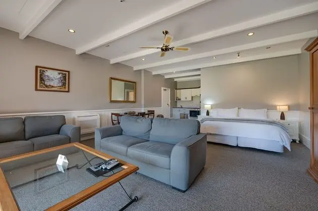 Large Studio Apartment