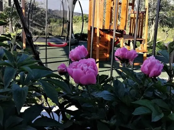 Villa (3 Bedroom Villa with Private Pool)