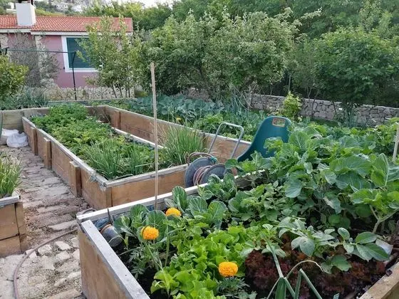 Villa (3 Bedroom Villa with Private Pool)