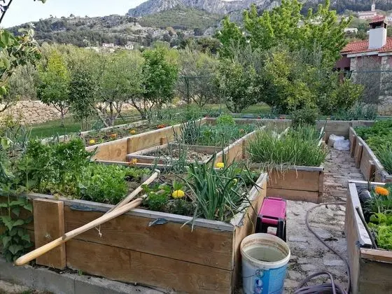 Villa (3 Bedroom Villa with Private Pool)