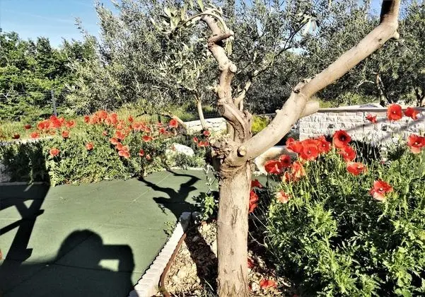 Villa (3 Bedroom Villa with Private Pool)