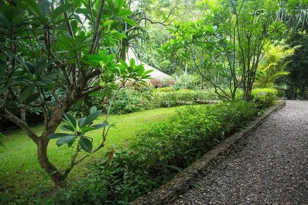 Digital Detox Villa