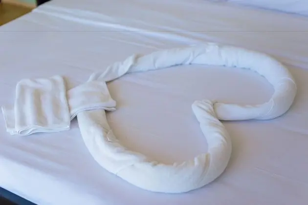 Deluxe Oda, Havuz Kenarı