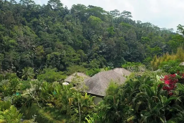 Villa, 1 Yatak Odası, Manzaralı (Ubud Pool Villa)
