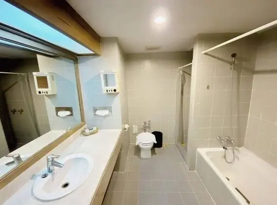 Deluxe Tek Büyük veya İki Ayrı Yataklı Oda
