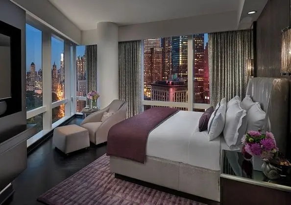 Central Park View, Premier Süit, Park Manzaralı