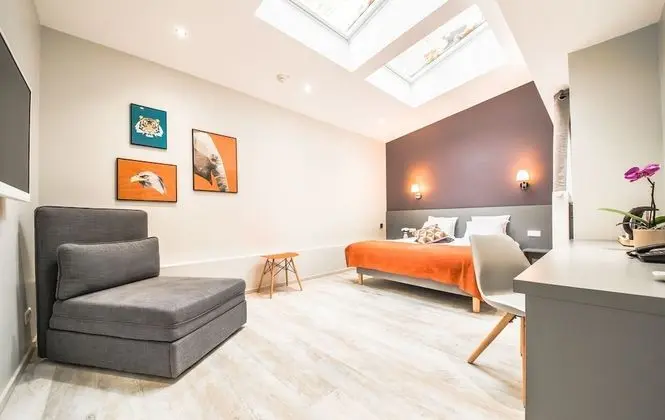 Superior Tek Büyük Yataklı Oda