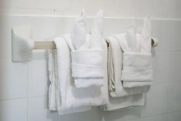 Standard Tek Büyük Yataklı Oda, Dağ Manzaralı