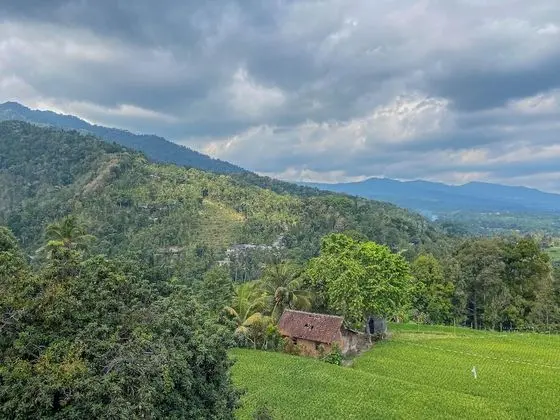 Deluxe Tek Büyük Yataklı Oda, 1 Çift Kişilik Yatak, Tepe Manzaralı