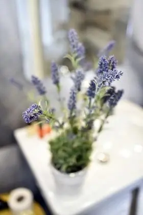 Deluxe Apart Daire, 1 Yatak Odası (Mandusa Empire)