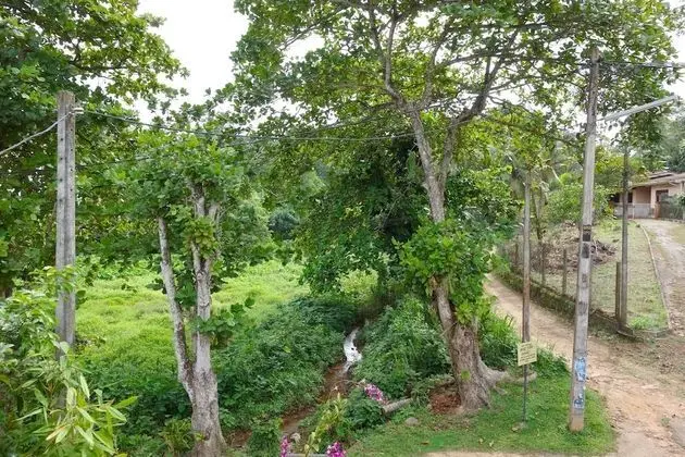 Apart Daire, 1 Yatak Odası, Sigara İçilmez, Tepe Manzaralı