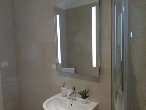 Royal Tek Büyük Yataklı Oda, 1 Büyük (Queen) Boy Yatak, Banyolu/Duşlu, Zemin Kat