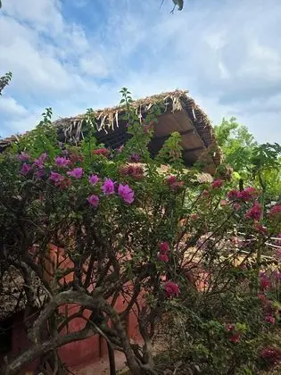 Oda