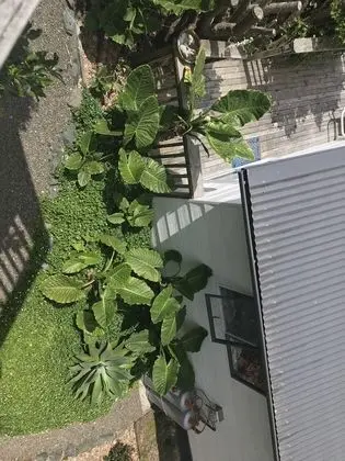 Panoramic Apart Daire, 1 En Büyük (King) Boy Yatak, Küçük Mutfak, Okyanus Manzaralı