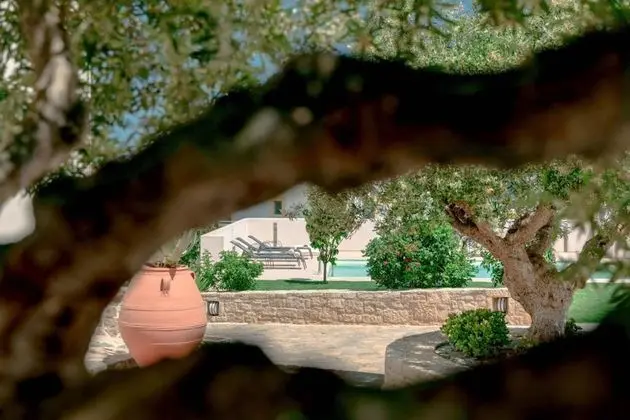 Design Villa, Kişiye Özel Havuzlu