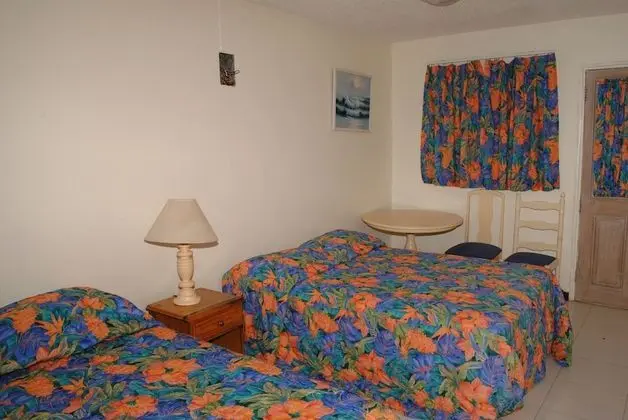 Comfort Stüdyo, 2 Çift Kişilik Yatak