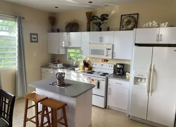 Panoramic Ev