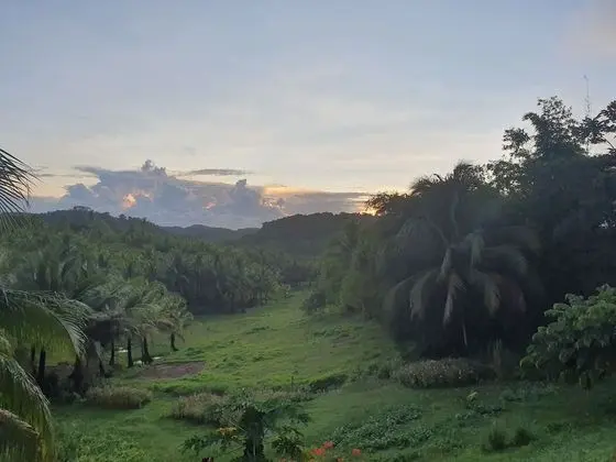 Luxury Villa, Sigara İçilmez, Bahçe Manzaralı