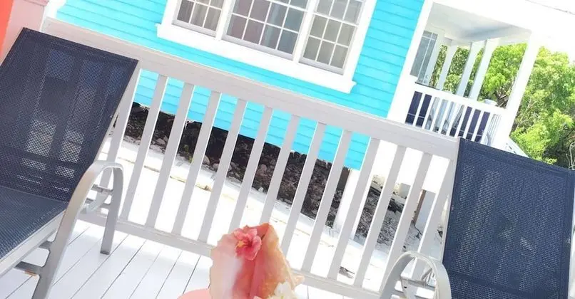 Junior Villa, 2 Yatak Odası, Veranda, Koy Manzaralı