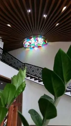 Business Ortak Ranzalı Oda