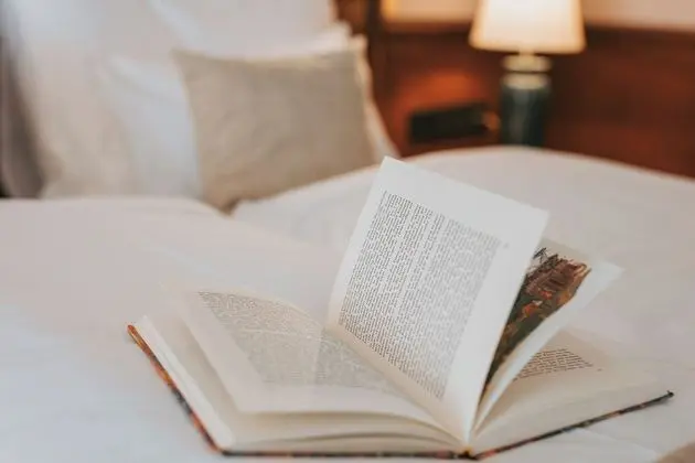 Classic Tek Büyük Yataklı Oda, Balkon