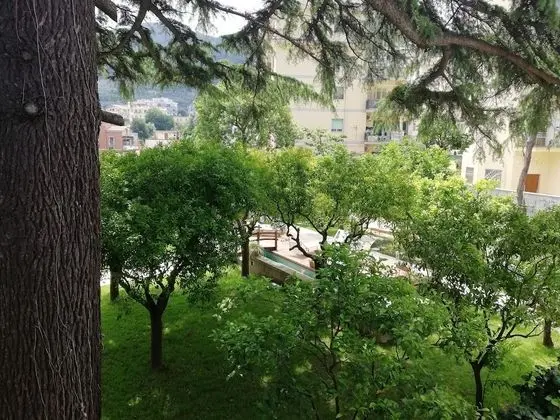 Junior Süit, Teras, Bahçe Manzaralı