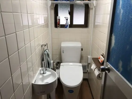 Ev