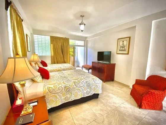 Deluxe Tek Büyük Yataklı Oda, 1 Çift Kişilik Yatak