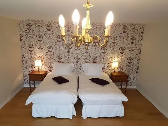 Superior Tek Büyük Yataklı Oda (rez de jardin N°11)