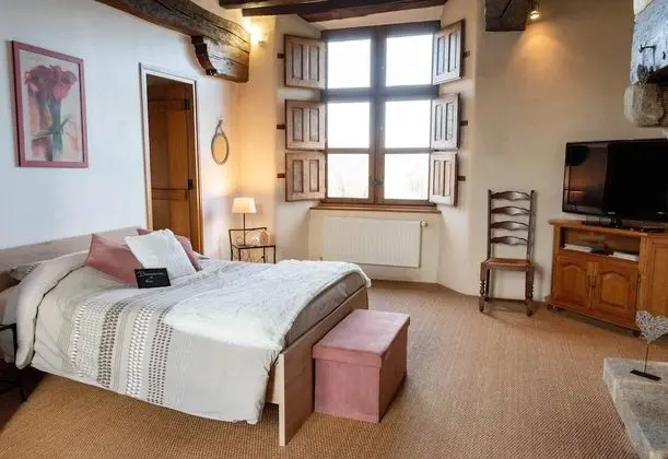 Panoramic Tek Büyük Yataklı Oda, Nehir Manzaralı (1)