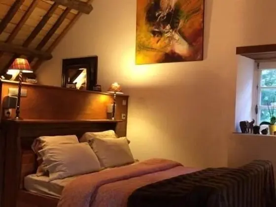 Deluxe Süit, Banyolu/Duşlu (Spa)