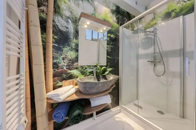 Comfort Tek Büyük Yataklı Oda, Banyolu/Duşlu, Park Manzaralı (Chambre du Géographe)