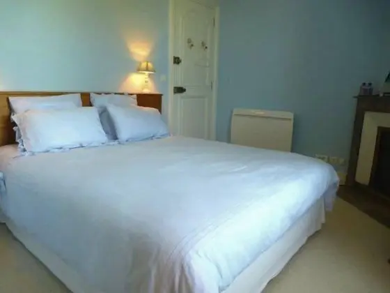 Comfort Tek Büyük Yataklı Oda, Özel Banyo, Park Manzaralı (Marquise)