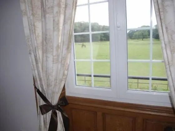 Deluxe Tek Büyük Yataklı Oda, Özel Banyo, Park Manzaralı (Princesse)