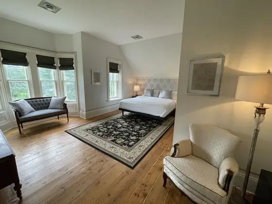 Deluxe Tek Büyük Yataklı Oda, 1 En Büyük (King) Boy Yatak (N°1)