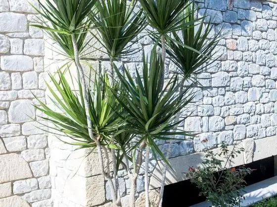 Apart Daire, 1 Yatak Odası, Sigara İçilebilir, Balkon