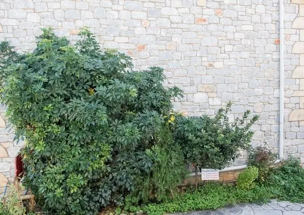 Apart Daire, 1 Yatak Odası, Sigara İçilebilir, Balkon