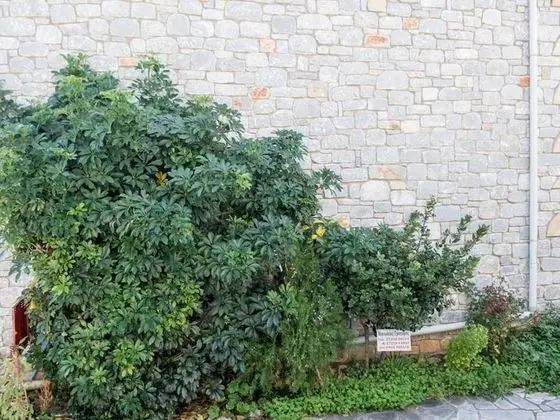 Apart Daire, 1 Yatak Odası, Sigara İçilebilir, Balkon