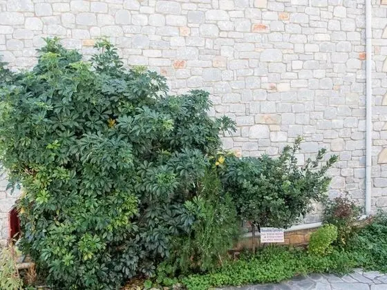 Apart Daire, 1 Yatak Odası, Sigara İçilebilir, Balkon