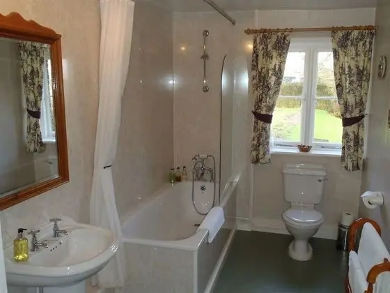 Deluxe Tek Büyük Yataklı Oda, Banyolu/Duşlu ((Super King Size bed ))