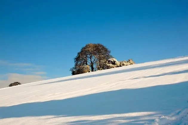 Luxury Stüdyo, Engellilere Uygun, Avlu Manzaralı (The Stable accessible)