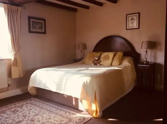 Deluxe Tek Büyük Yataklı Oda, Banyolu/Duşlu (Deluxe)