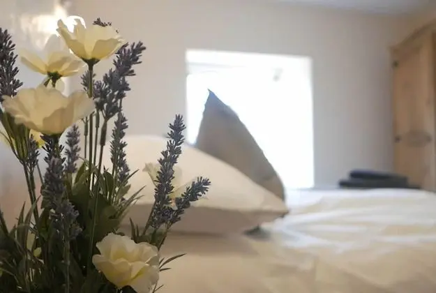 Tek Büyük veya İki Ayrı Yataklı Oda (with Shower)