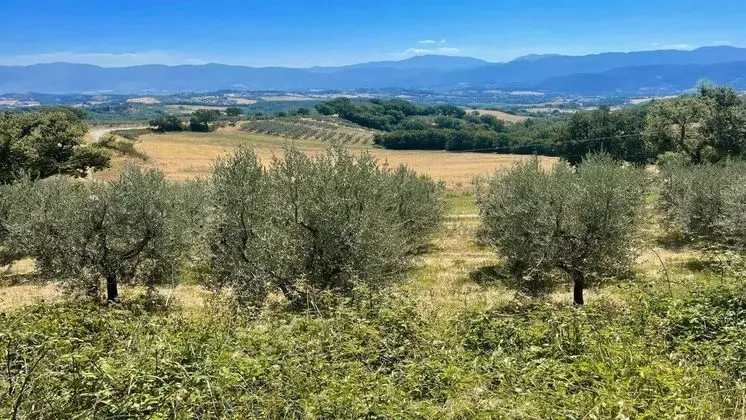 Apart Daire, 3 Yatak Odası, Veranda