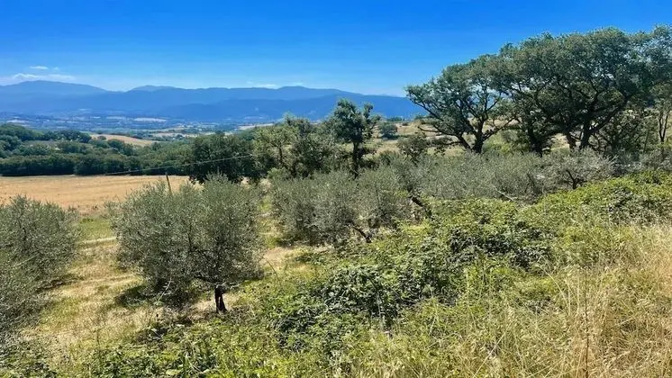 Apart Daire, 3 Yatak Odası, Veranda