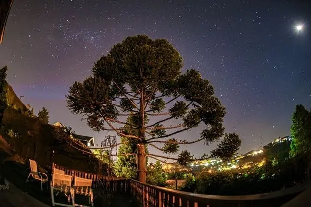 Economy Tek Kişilik Oda