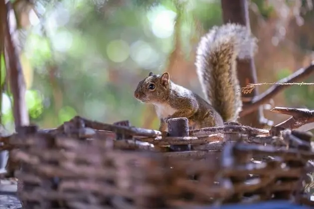 Economy Tek Kişilik Oda